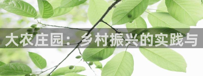 摩根克里克娱乐公司