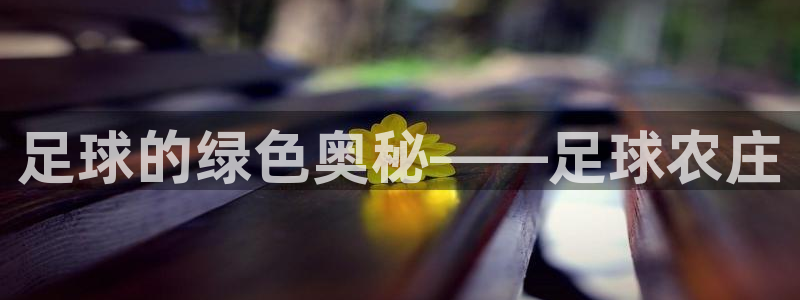 摩根娱乐宝的真假