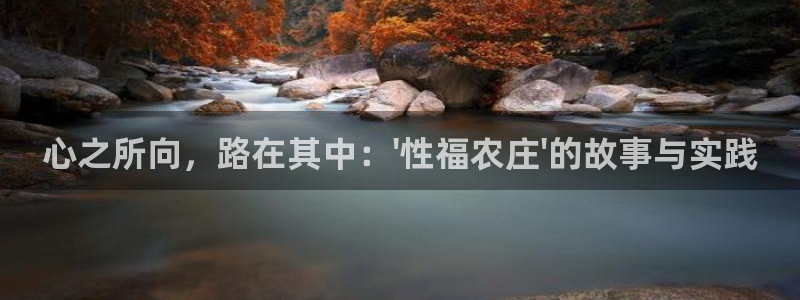 摩根娱乐宝账户