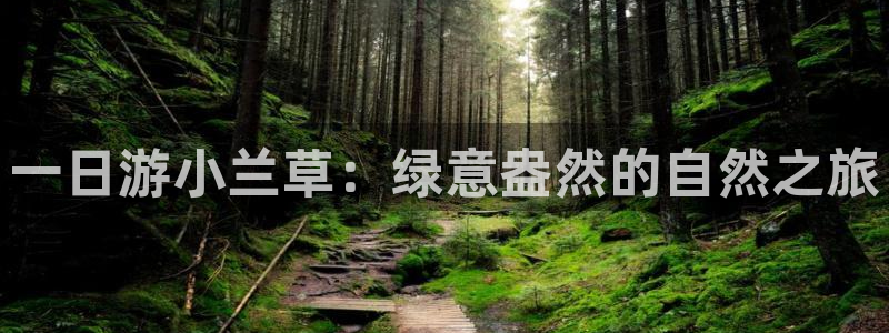 义乌摩根国际娱乐会所