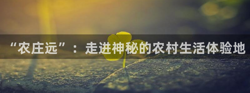 摩根娱乐挂机项目有哪些