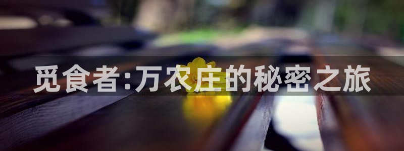 亚瑟摩根娱乐的地方