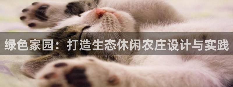 摩根娱乐宝.知道吗