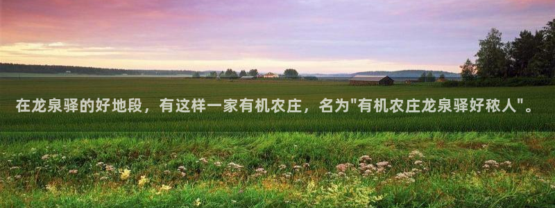 摩根在娱乐圈爆红