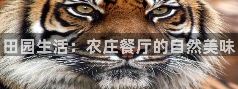 摩根娱乐宝骗了多少人