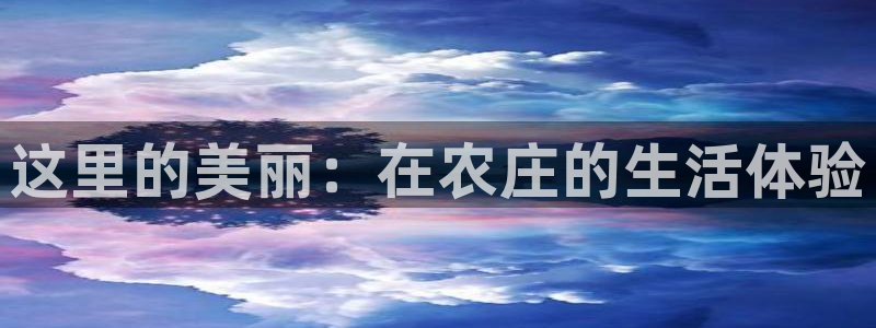 摩根娱乐宝 怎么样