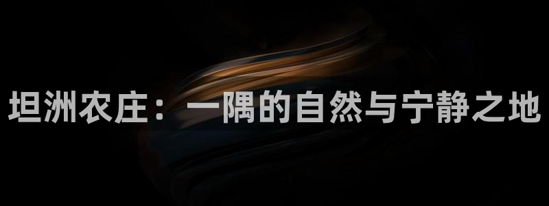 白宫摩根娱乐会所