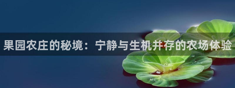 摩根娱乐宝.知道吗