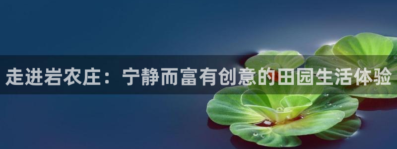 摩根娱乐创始人