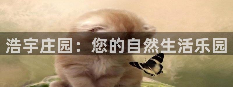 摩根100娱乐会所