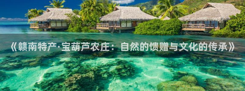 摩根娱乐彩票被骗了