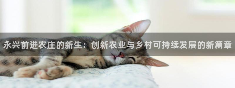 摩根娱乐会所