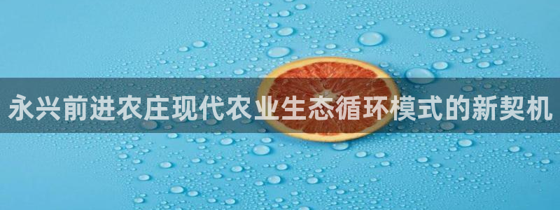 摩根娱乐挂机项目