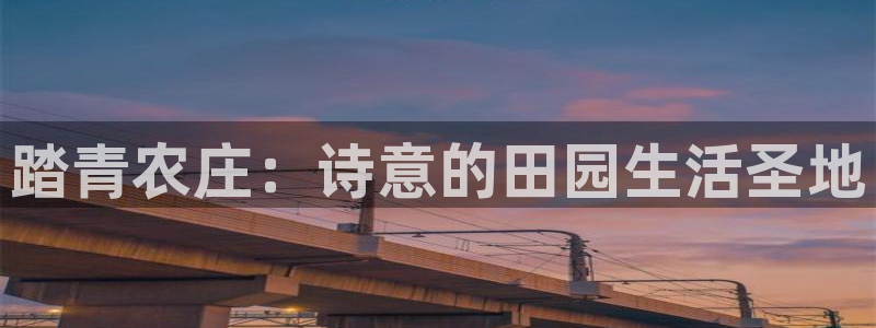 华视娱乐摩根王琛