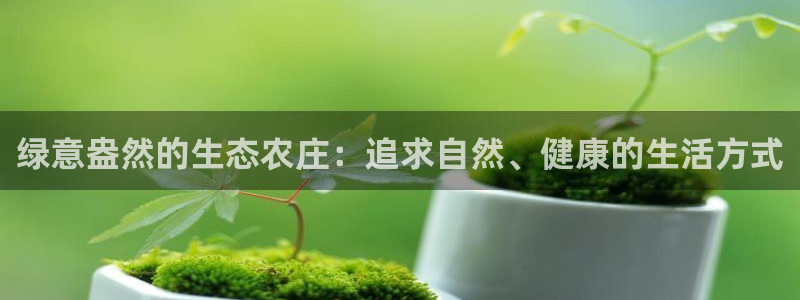 泉州摩根会娱乐保安