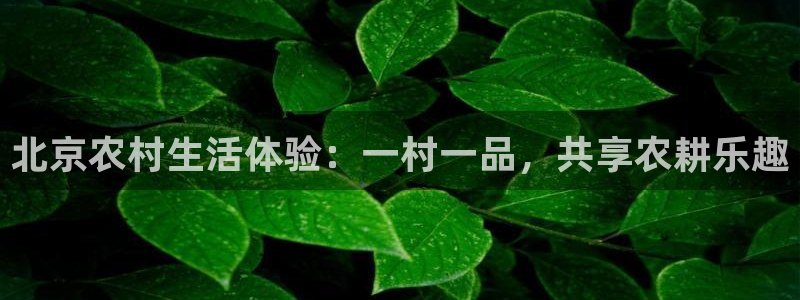 摩根娱乐信益怎么样