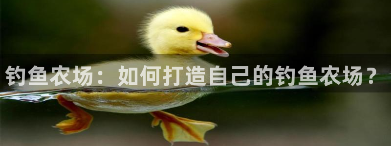 摩根娱乐彩票挂机