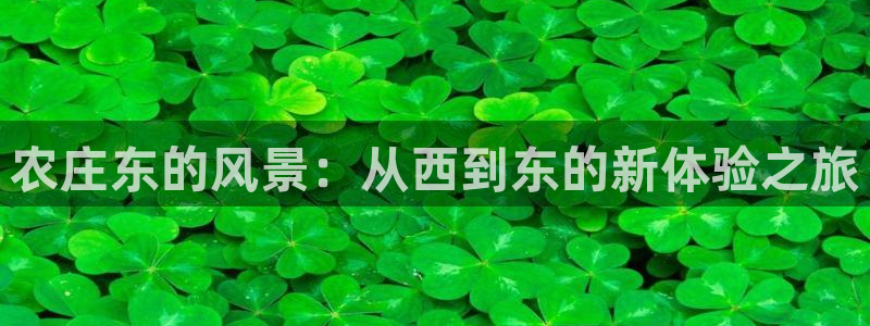 摩根娱乐宝APP下载