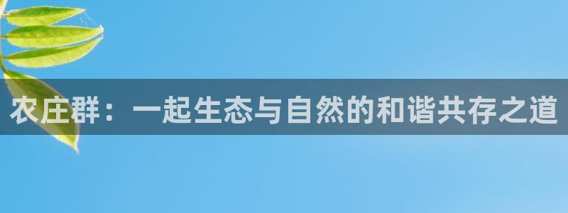 义乌摩根娱乐阿峰