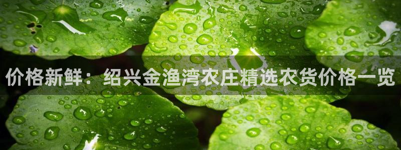 泉州摩根会娱乐