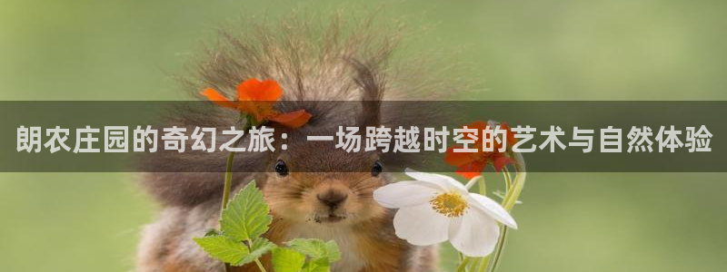 娱乐解说摩根