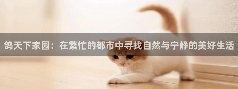 昆明滇池路摩根道娱乐