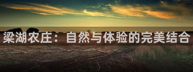 摩根娱乐宝手机客户端