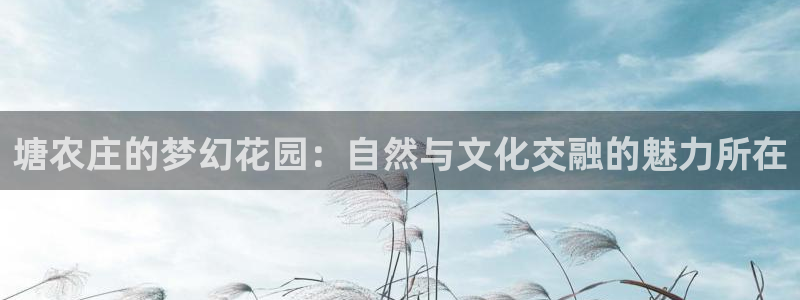 摩根娱乐宝官网下载