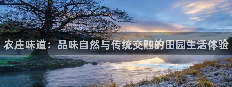 摩根娱乐彩票被骗了