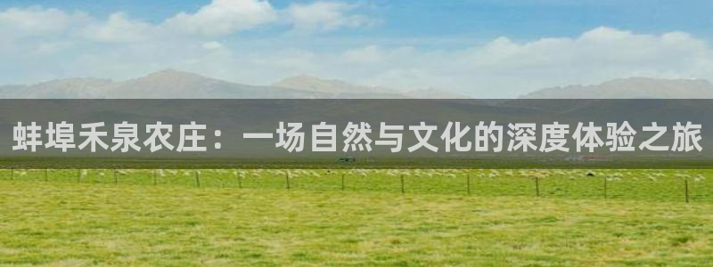 摩根国际娱乐宝书籍