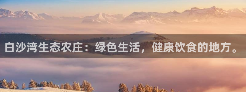 摩根娱乐宝微交易