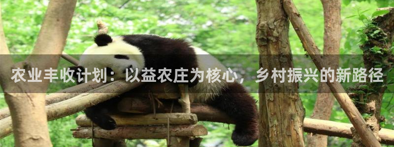 摩根娱乐 股s东50015