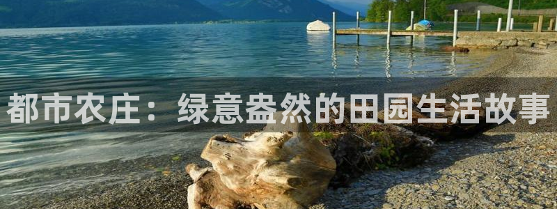 摩根大通狮门娱乐目标价