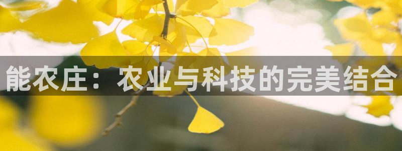 摩根娱乐这个平台怎么样
