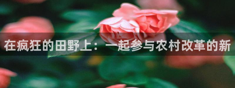 泉州摩根会娱乐邮箱