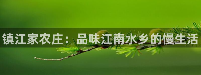 摩根娱乐这个平台怎么样