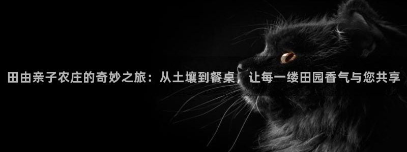 摩根娱乐宝 知道吗