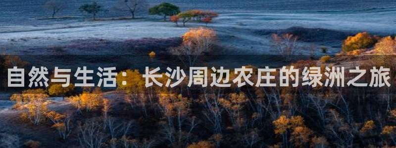 摩根娱乐挂机项目有哪些