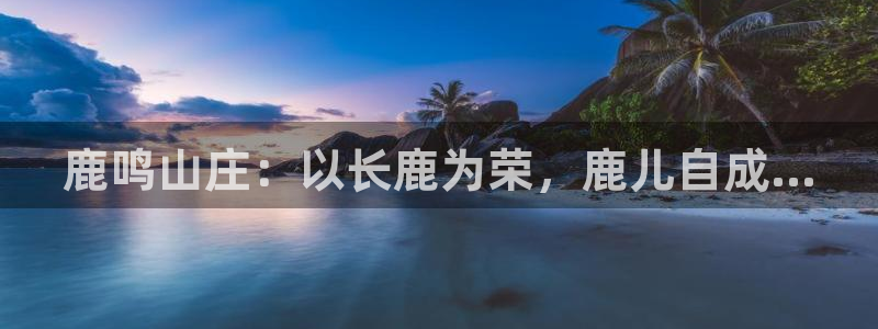 义乌摩根娱乐消费多少