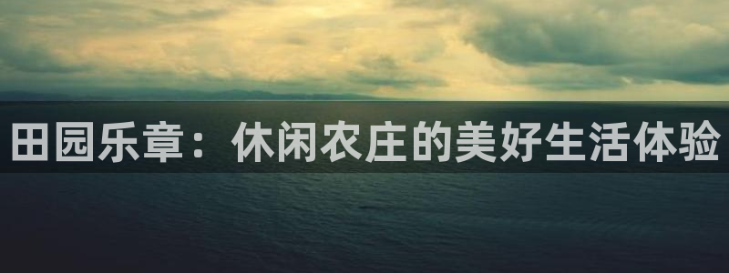 泉州摩根会娱乐有限责任公司管理