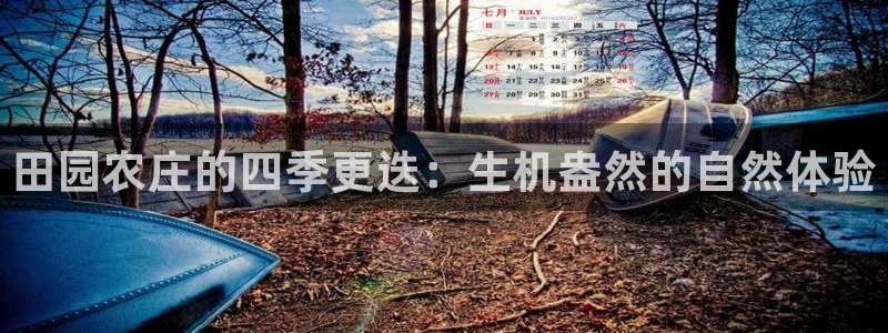 摩根娱乐宝可靠吗