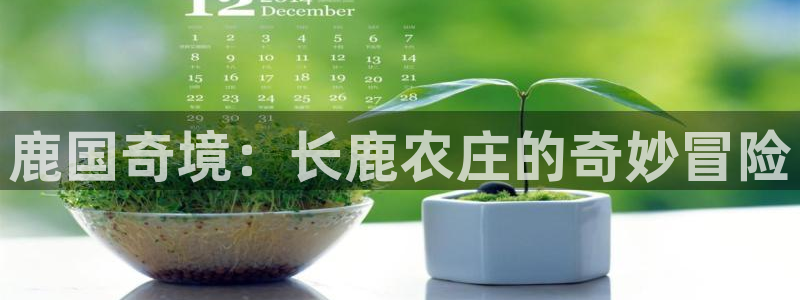 玩摩根娱乐宝亏了三千