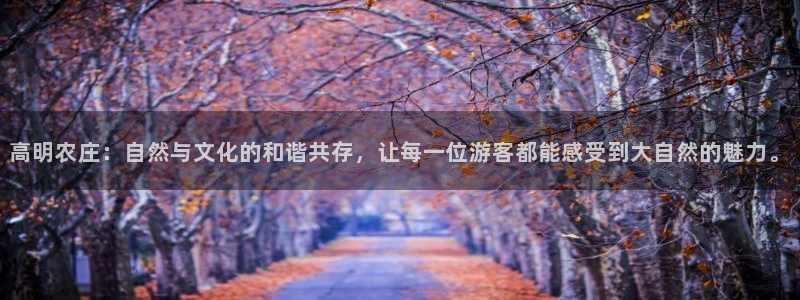 摩根娱乐垫付任务靠谱吗