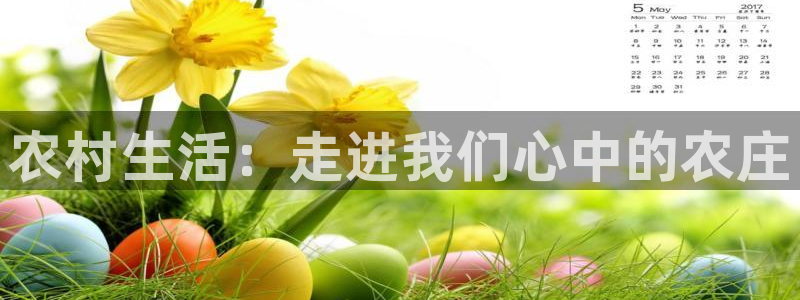 摩根转型娱乐的视频