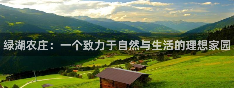 福建泉州白宫摩根会娱乐