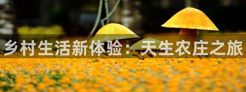 摩根娱乐宝怎么赚钱的