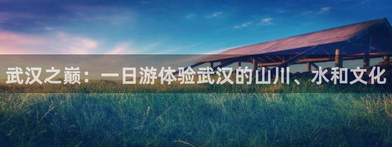 摩根士丹利娱乐