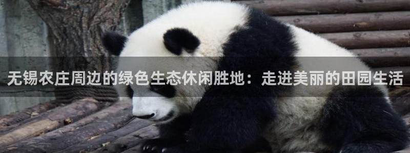 摩根娱乐宝怎么下载