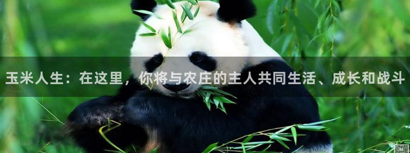 摩根娱乐部