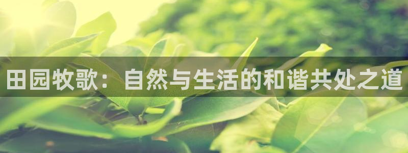 杭州市摩根国际娱乐会所